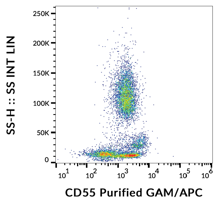 CD55 Antibody