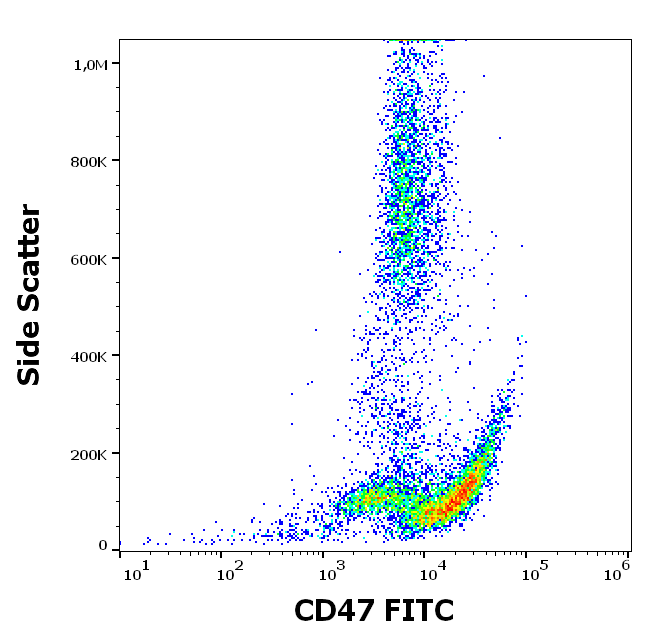 CD47 Antibody (FITC)