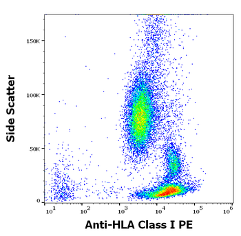 HLA Class I Antibody (PE)