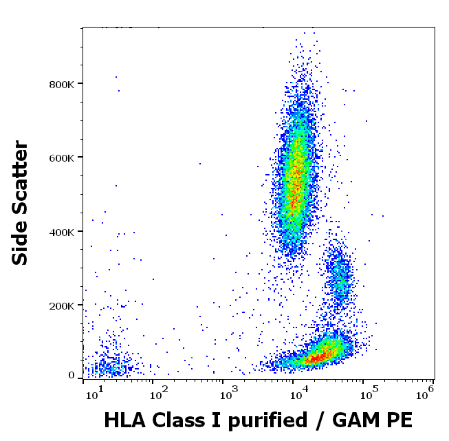 HLA Class I Antibody