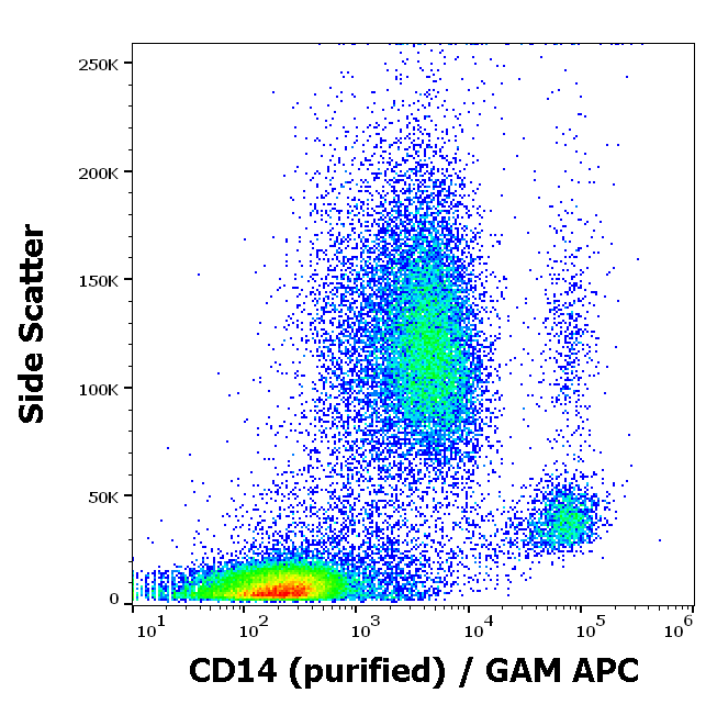 CD14 Antibody