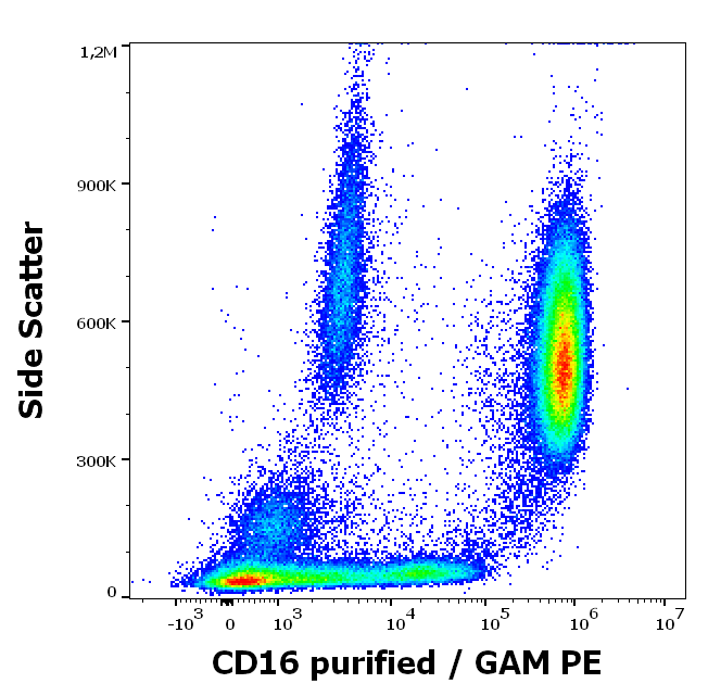 CD16 Antibody