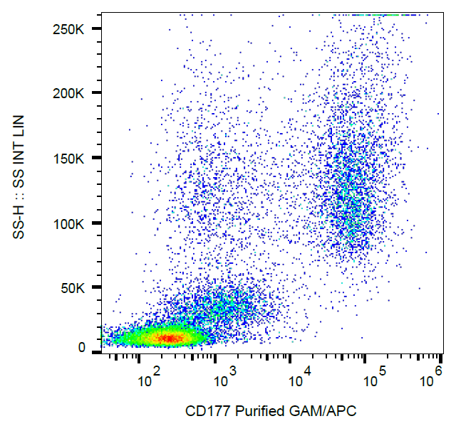 CD177 Antibody