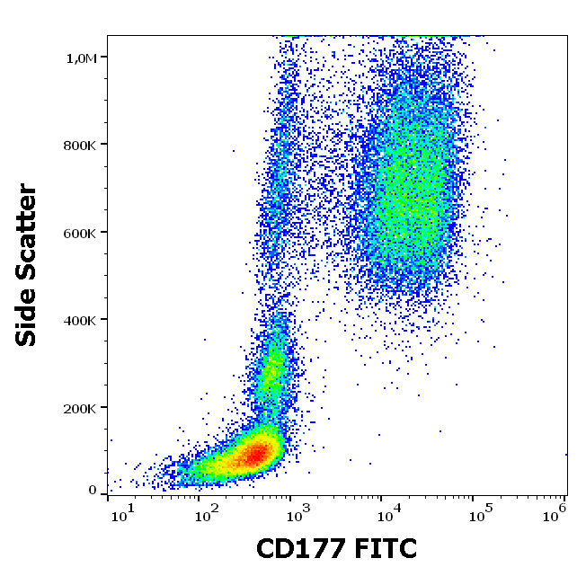 CD177 Antibody (FITC)