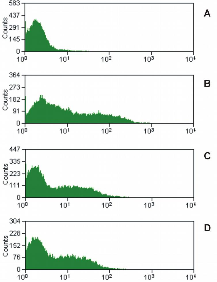 CD16 Antibody