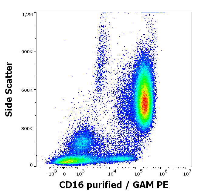 CD16 Antibody