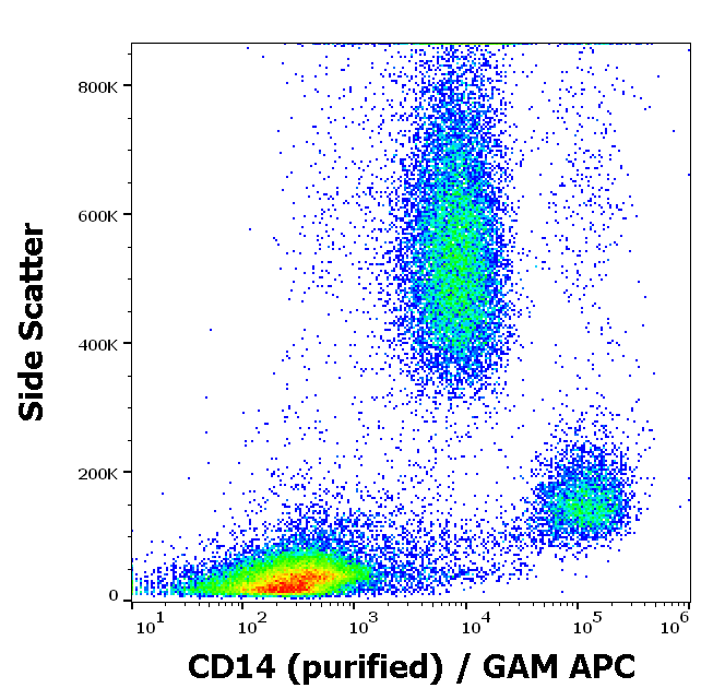CD14 Antibody