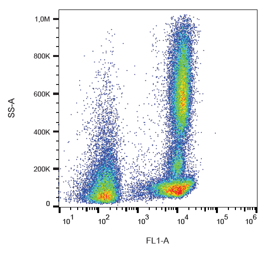 CD46 Antibody (FITC)