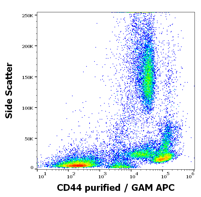 CD44 Antibody