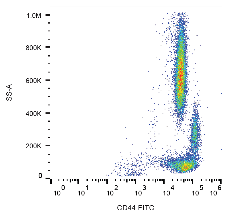 CD44 Antibody (FITC)