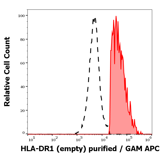 HLA-DR1 (empty) Antibody