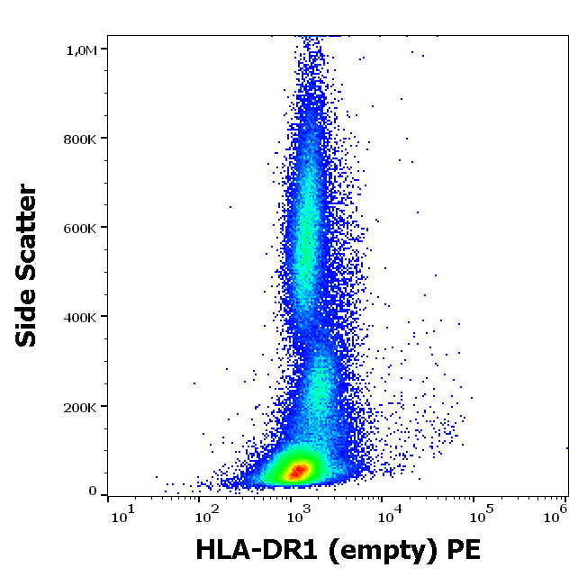 HLA-DR1 (empty) Antibody (PE)