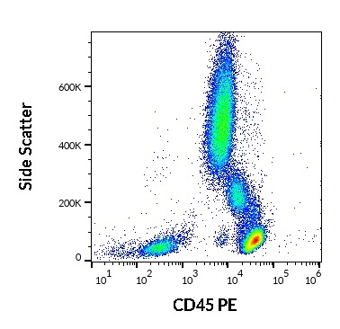 CD45 Antibody (PE)