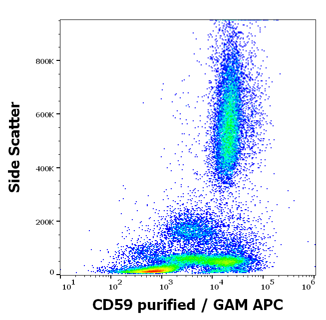 CD59 Antibody