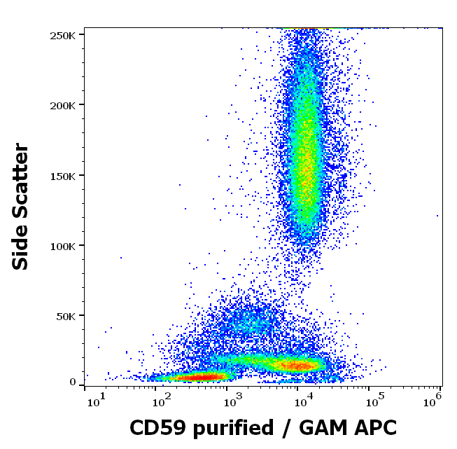 CD59 Antibody