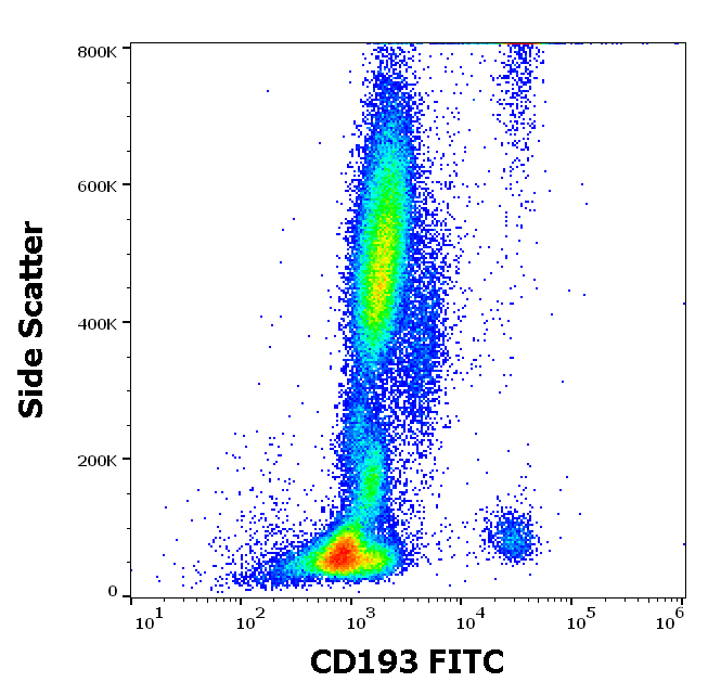 CD193 Antibody (FITC)