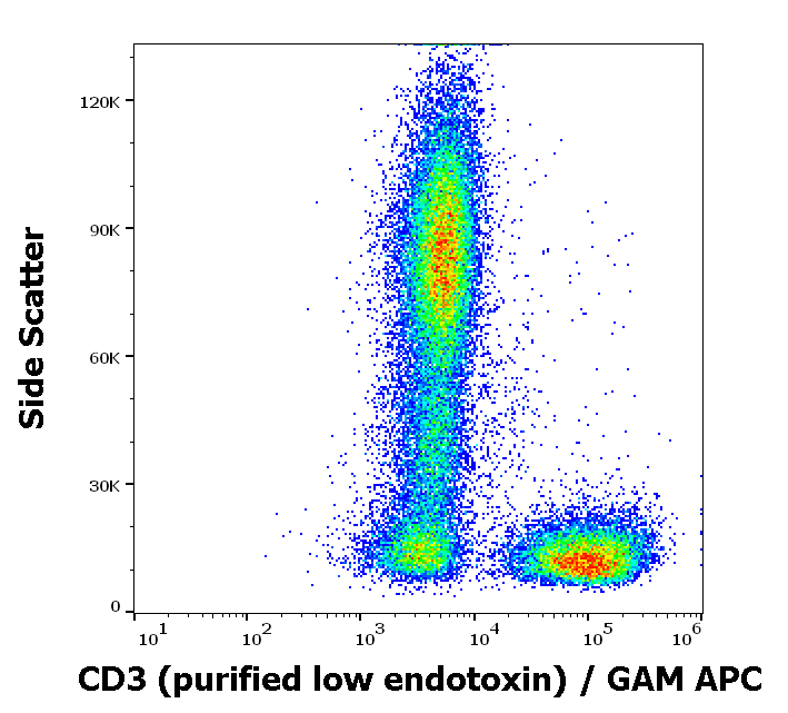 CD3 Antibody