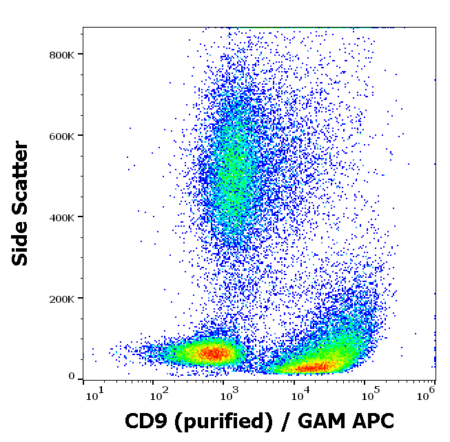 CD9 Antibody