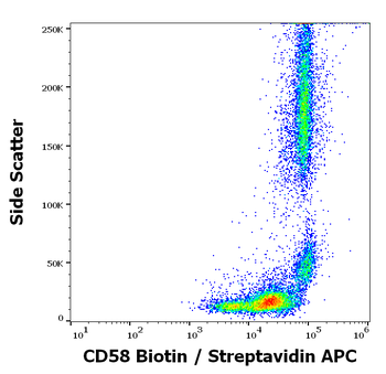 CD58 Antibody (Biotin)