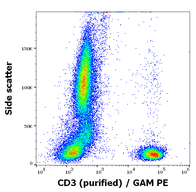 CD3 Antibody
