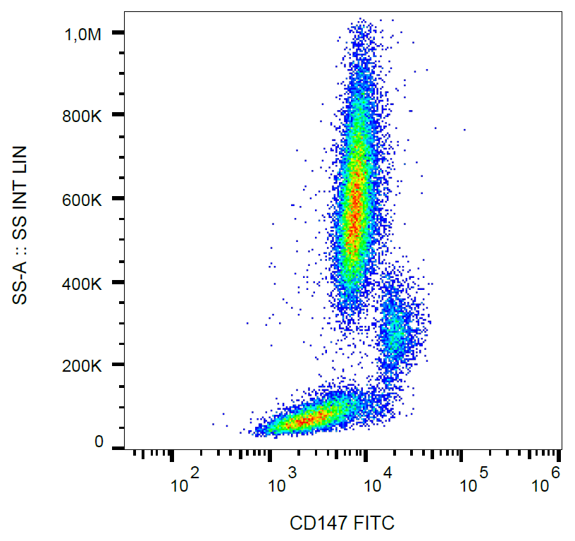 CD147 Antibody (FITC)