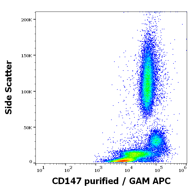CD147 Antibody