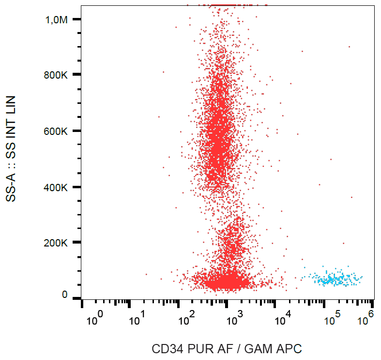 CD34 Antibody