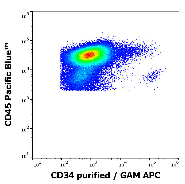 CD34 Antibody