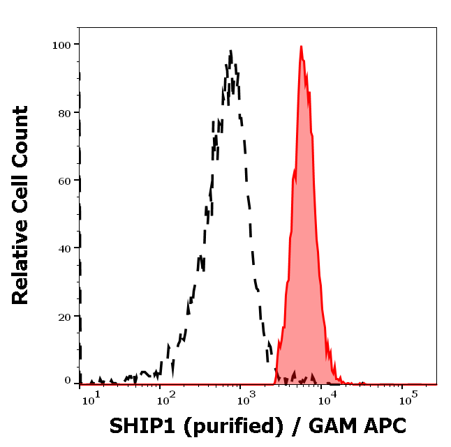 SHIP1 Antibody