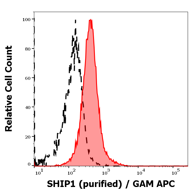 SHIP1 Antibody
