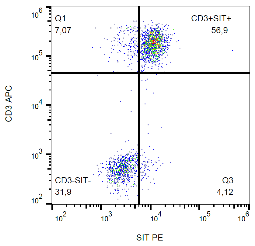 SIT Antibody (PE)