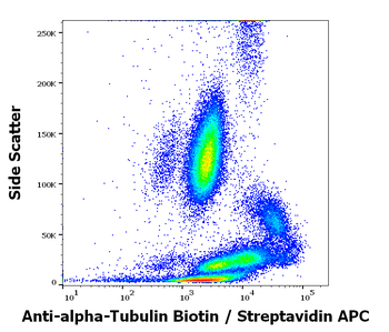 alpha-Tubulin Antibody (Biotin)