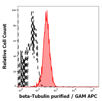 beta-Tubulin Antibody
