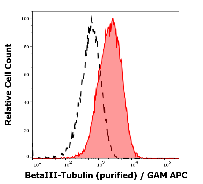 betaIII-Tubulin Antibody