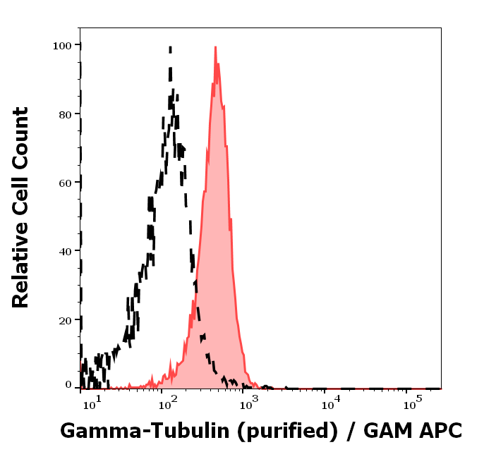 gamma-Tubulin Antibody