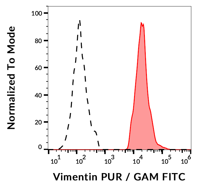 Vimentin Antibody