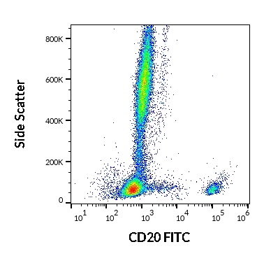 CD20 Antibody (FITC)