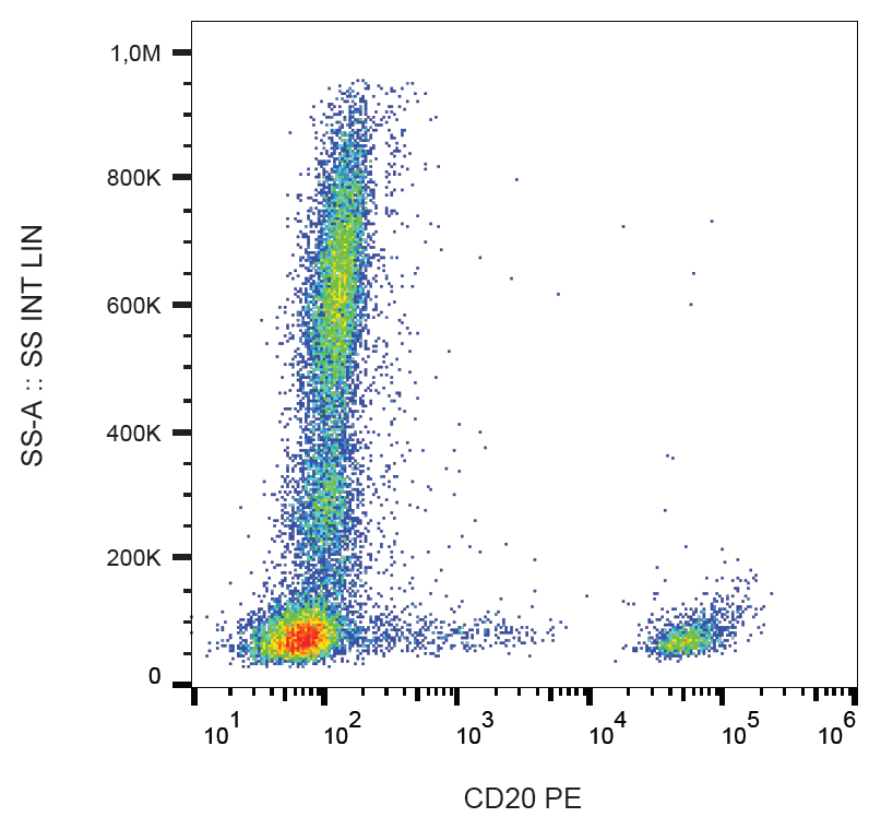 CD20 Antibody (PE)
