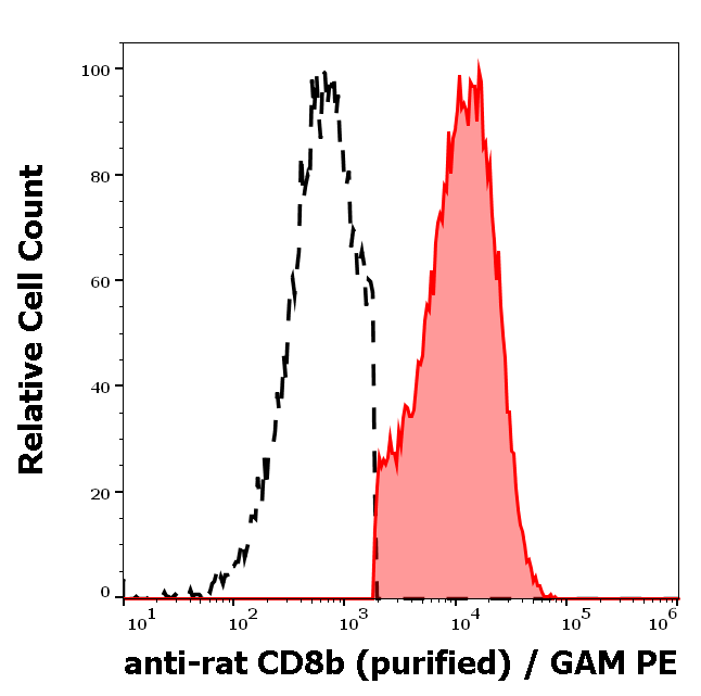 CD8b Antibody