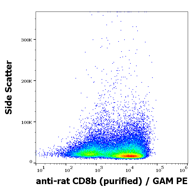 CD8b Antibody