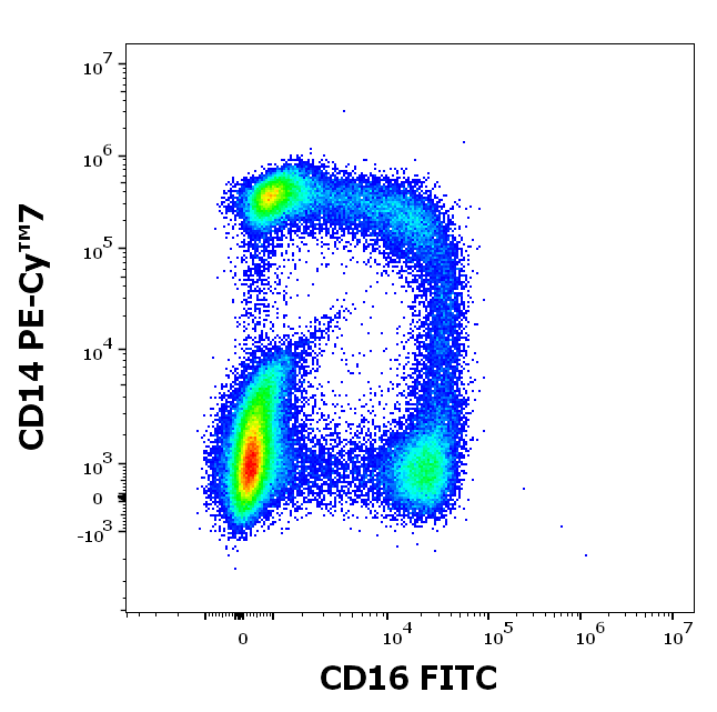 CD16 Antibody (FITC)