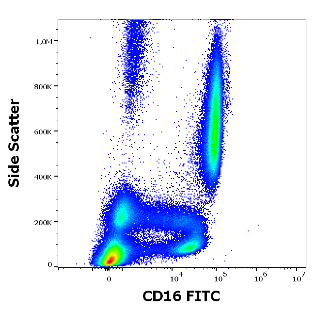 CD16 Antibody (FITC)
