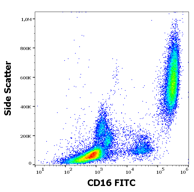 CD16 Antibody (FITC)