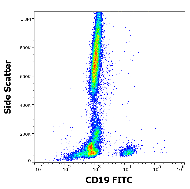 CD19 Antibody (FITC)