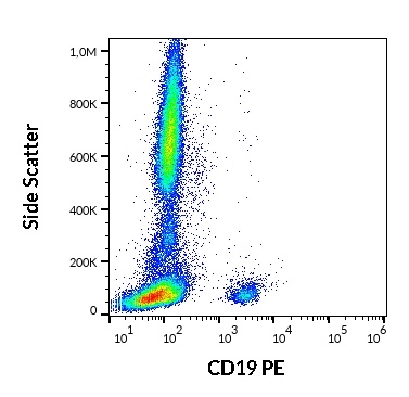 CD19 Antibody (PE)