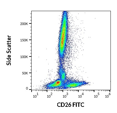 CD26 Antibody (FITC)