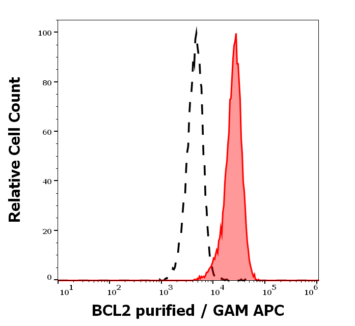 BCL2 Antibody