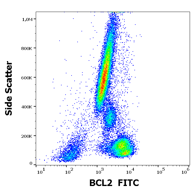 BCL2 Antibody (FITC)