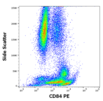 CD84 Antibody (PE)
