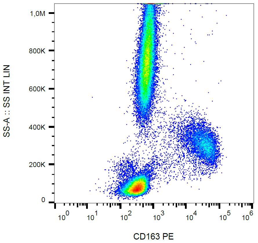 CD163 Antibody (PE)